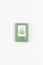Load image into Gallery viewer, Coast Soap - Organic Seaweed & Tea Tree bar in eco-friendly green packaging, ideal vegan exfoliating soap for daily mineral-rich skincare routine.