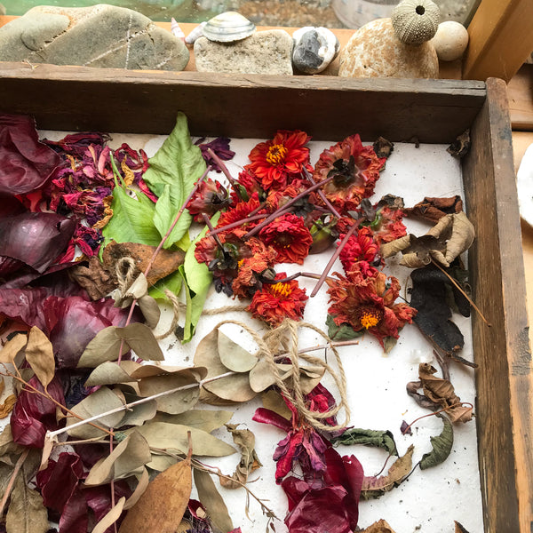 The Dye Shed