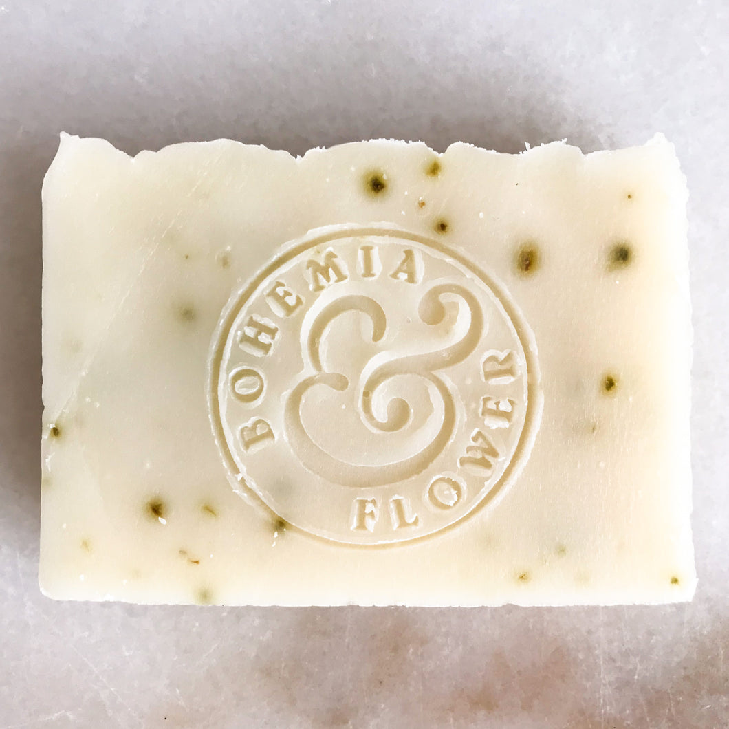 Organic Seaweed & Tea Tree - Coast Bar Soap
